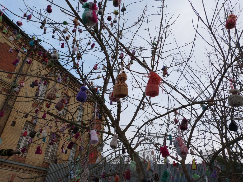 Lietuvos rekordai. Rekordų akademija