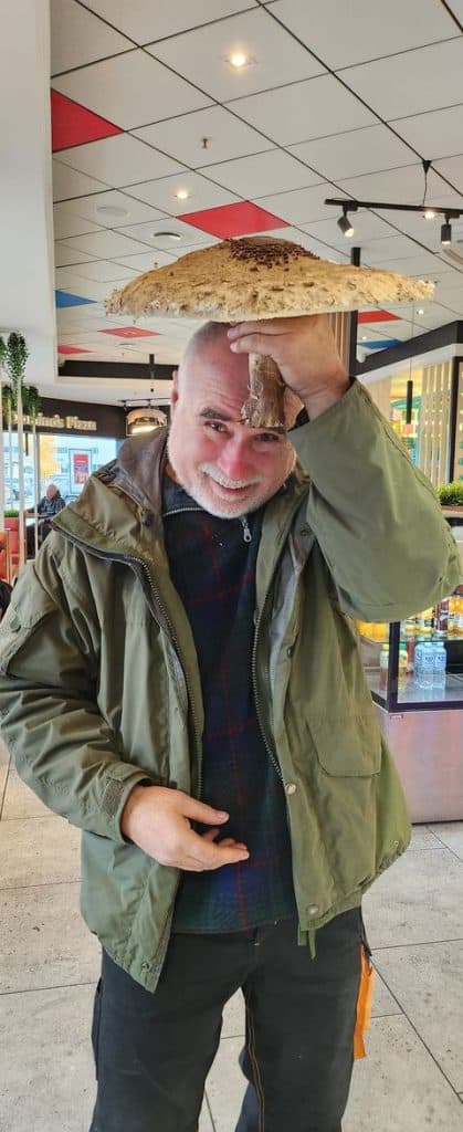 Didžiausia skėtinė žvynabudė