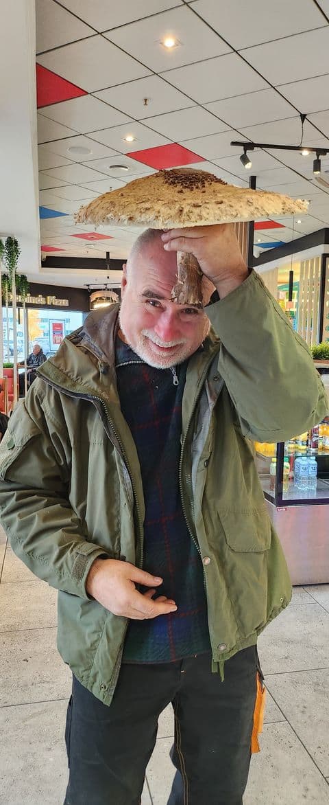 Didžiausia skėtinė žvynabudė