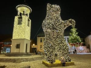 Lietuvos rekordas: Didžiausia meškos skulptūra