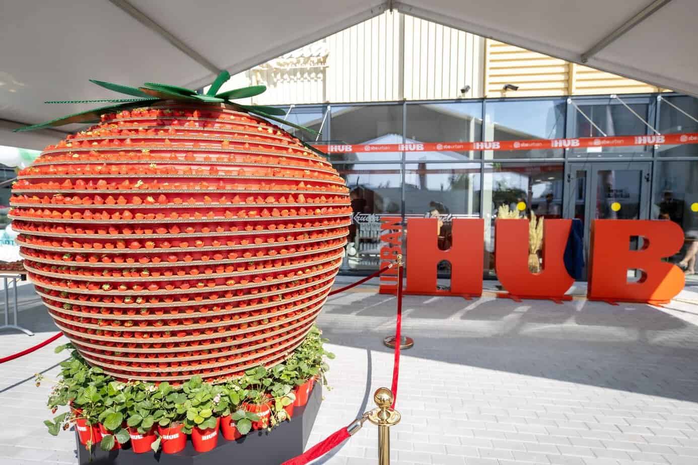 Didžiausia meninė instaliacija, Lietuvos rekordas