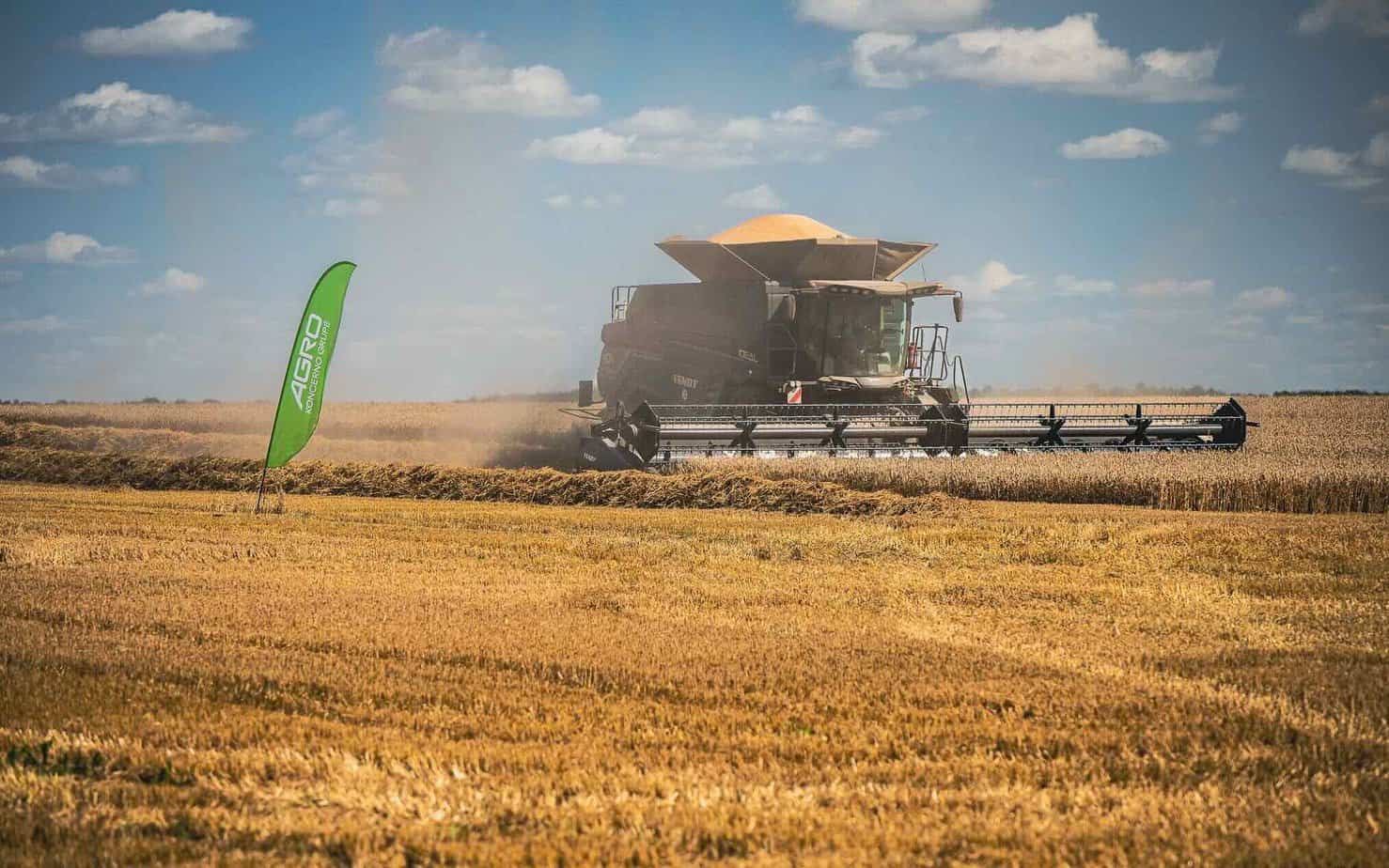 Daugiausia žieminių kviečių prikūlė "Žvirblonių" ŽŪB. Lietuvos rekordas