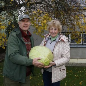 Didžiausias kopūstas