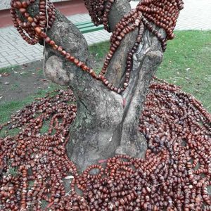 402323383_680698757491555_6140447417618571226_n