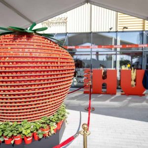 Didžiausia meninė instaliacija, Lietuvos rekordas